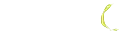 logo9d1bf7817e0b62f7.webp